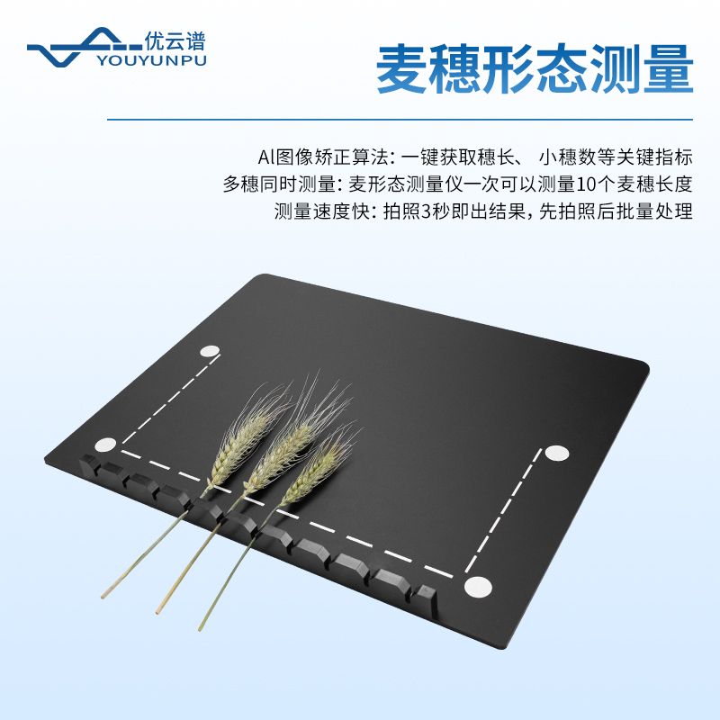 小麥表型分析系統(tǒng)