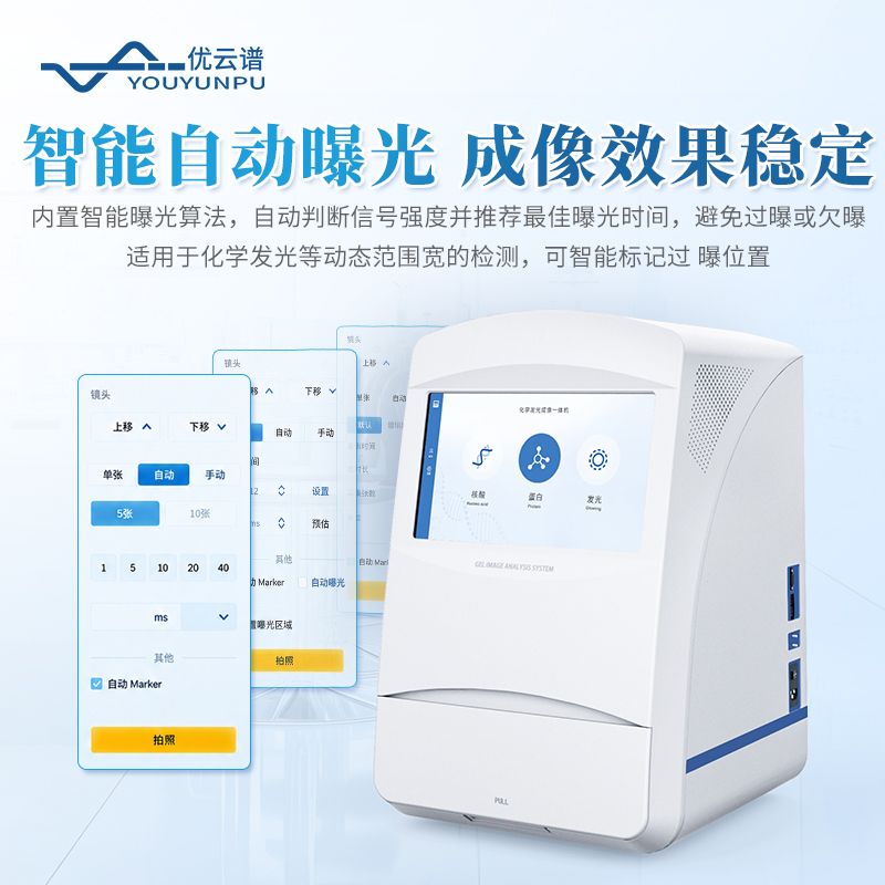 化學(xué)發(fā)光成像儀